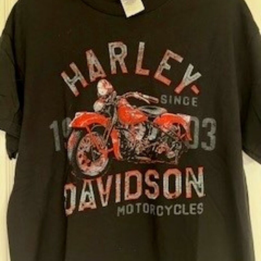 Men's Harley-Davidson Motorcycle t-shirt